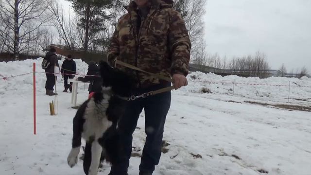 рел мл. порок уха смотреть онлайн