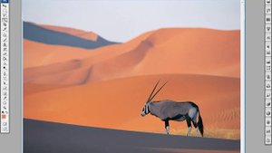 Magic Wand Tool (волшебная палочка). Photoshop.