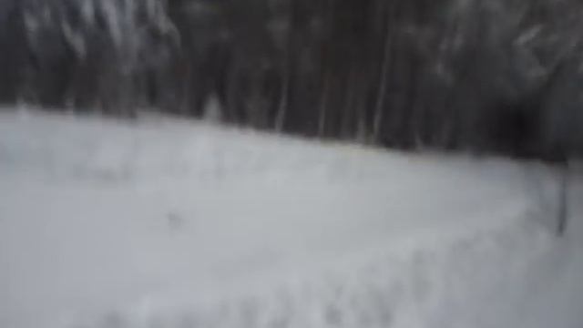 Мухтар ИРБИС Начало. смотреть онлайн