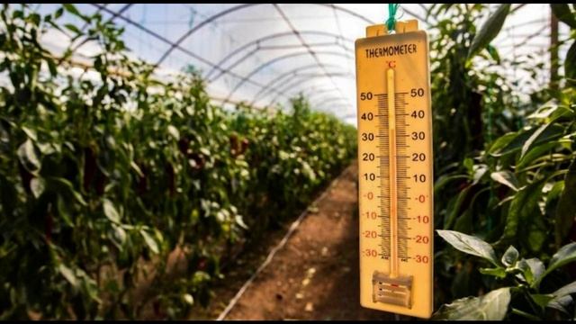 Оптимальная температура и влажность в теплице смотреть онлайн