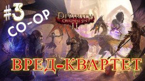 Кооперативное прохождение ► Divinity Original Sin 2 │#3 Себилла