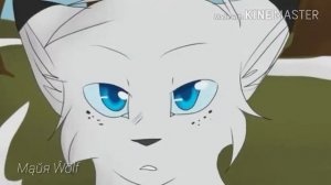 ~||Cat wariorr||~Коты воители~{Белогривка}~{целуй}~