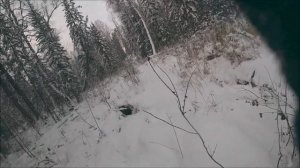 Курс молодого промысловика