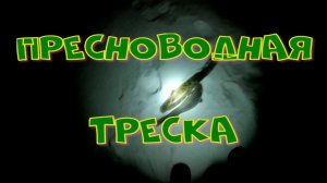 Пресноводная ТРЕСКА.mp4