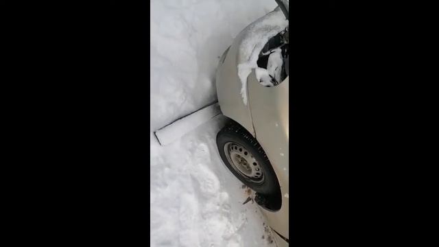 Авторазборка как бизнес. Сколько принесет