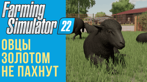 ? Всё об овцах в Farming Simulator 22