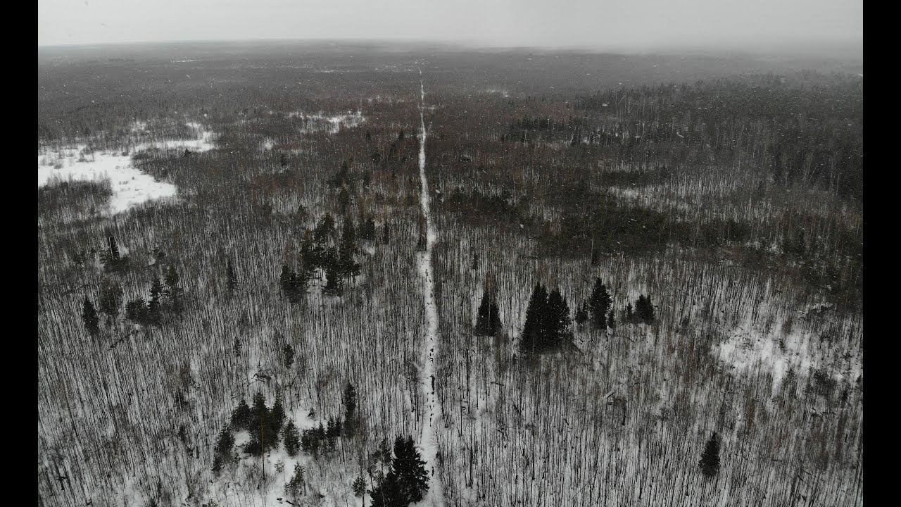 Гиблые места под Пустошами где пропадают люди. Поход в логово волков и аномалий. КукуруЗо. смотреть онлайн
