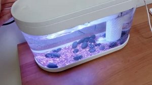 Супер аквариум. С подсветкой и Фильтром.