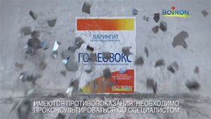 Гомеовокс - Твой голос безупречен!