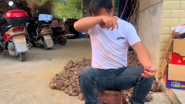 石頭給狗子們驅蟲，每一隻吃的肥嘟嘟的，準備把最後兩隻也送人【石頭秀】 смотреть онлайн