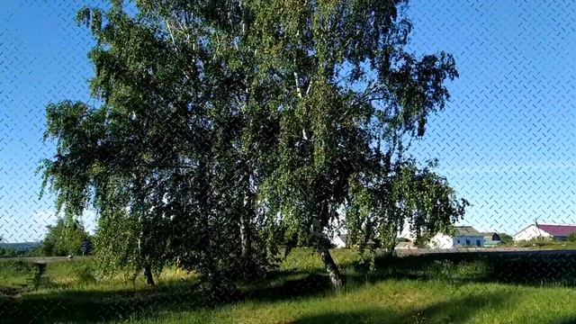 30 мая-ДЕНЬ ЕВДОКИИ. Традиции, ритуалы, обычаи, народные приметы
