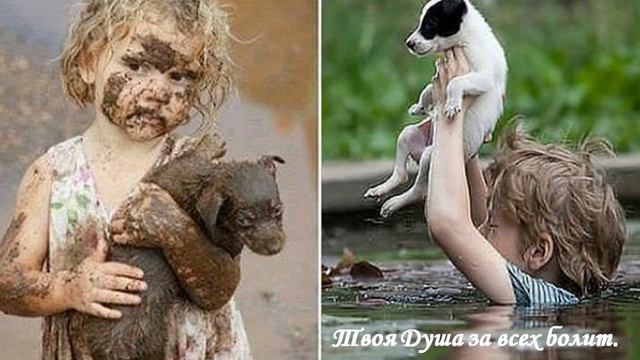 Твоя Душа за всех болит.Слова :Нина Попова, музыка и исполнение: Николай Макаренко. Фото интернет. смотреть онлайн