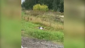 Самая абсурдная автоавария Новосибирска