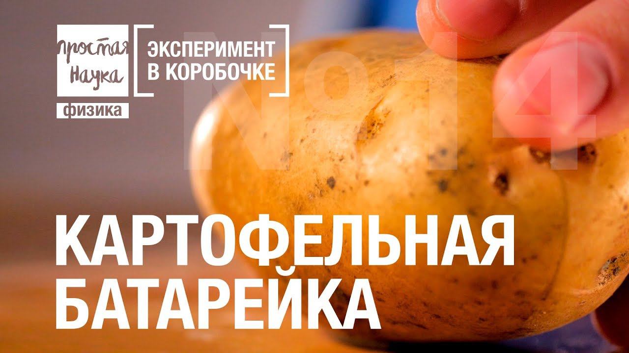№14 - КАРТОФЕЛЬНАЯ БАТАРЕЙКА смотреть онлайн