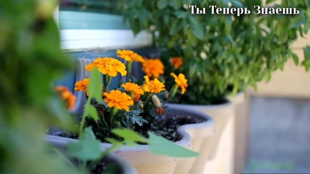 7 Предметов которые категорически нельзя класть на стол