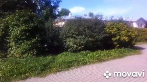 А в городе том сад, всё травы,да цветы...Палевский жилмассив.# мойрайонНевский#