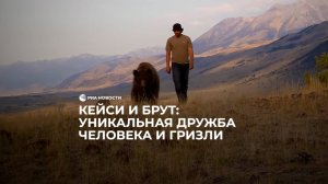 Кейси и Брут: уникальная дружба человека и гризли