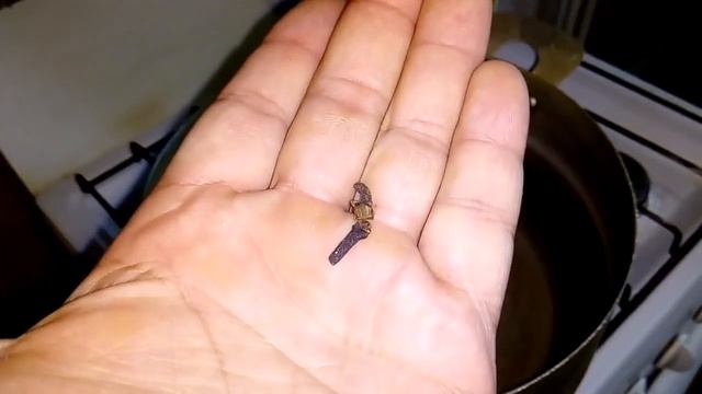 Маринуем грибы Маслята. смотреть онлайн