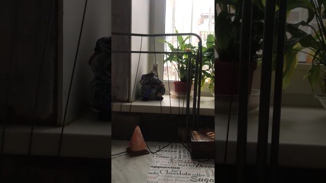 Банкротство через МФЦ - это миф и утопия. Трудная жизнь в России. Приставы-вымогатели. смотреть онлайн