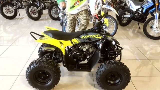 Обзор 2023 Квадроцикл Motoland 125 RAPTOR A смотреть онлайн