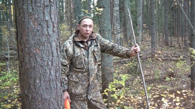 Охота на барсука с собаками 1 часть смотреть онлайн