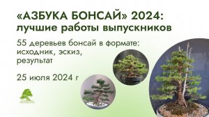 Лучшие работы курса «Азбука бонсай» 2024