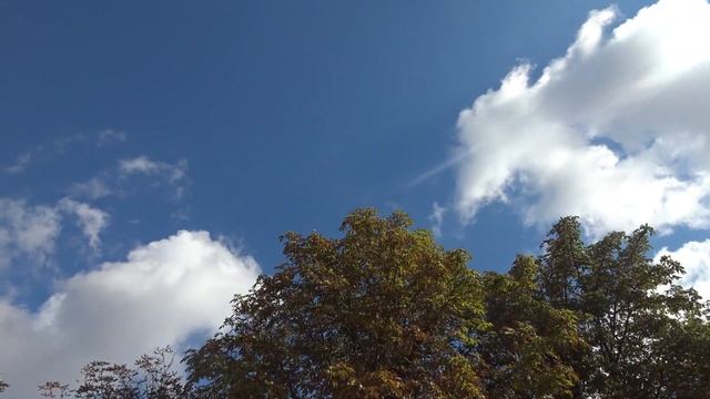 Осень в небе, футаж смотреть онлайн