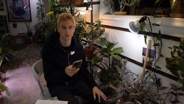 Great Grow Light Bulb for House Plants - Haus Bright Smart LED - Review