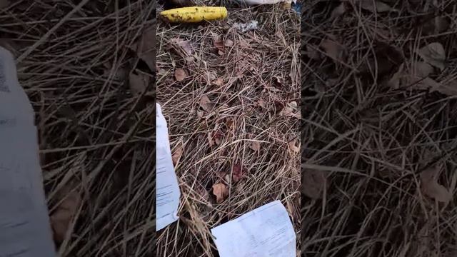Свалка в Черёмухово