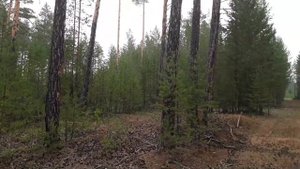 Красноярский край. Богучаны