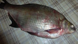Лещ, запеченный с икрой