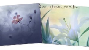 АФИНА Я СУМЕЮ ЗАБЫТЬ –