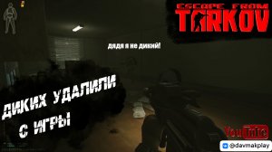 Дикие пропали с Таркова ● Тарков ● EFT