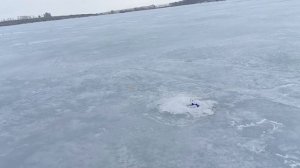 Жерлицы на пруду в Алтайском крае.