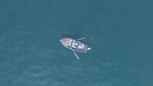 PEDJA JOVANOVIC - NJOJ (OFFICIAL VIDEO 2023)