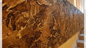 Декоративная штукатурка в интерьере. Идеи: отделка и дизайн стен комнаты