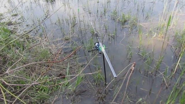 ОН ОТОРВАЛ МОЮ СНАСТЬ! Ловля ОКУНЯ на ДОННУЮ СНАСТЬ на ЧЕРВЯ. Рыбалка на окуня 2022 смотреть онлайн