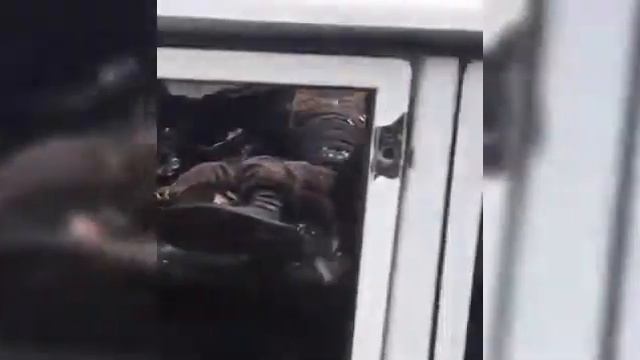 Российские полицейские застрелили кабардинских сепаратистов смотреть онлайн