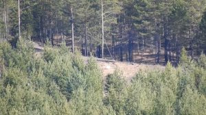 1202 метра, CZ 527 MTR 6.5 grendel, 123 сценар,