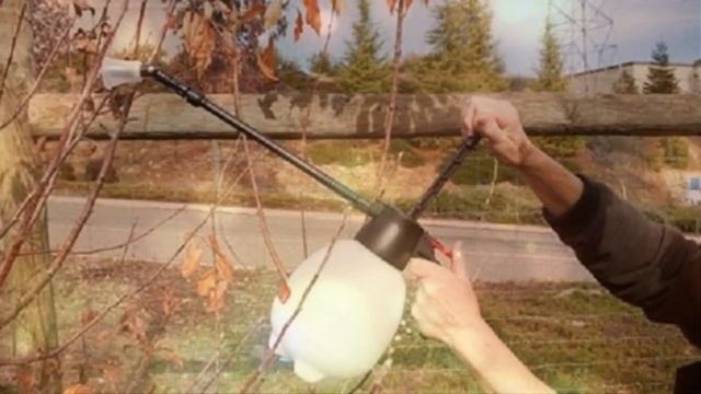 Четыре важных Дела, которые нужно успеть сделать со Смородиной до наступления холодов! смотреть онлайн