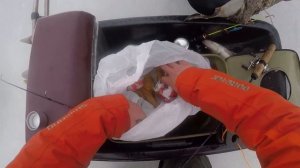 ВЕСЕННИЙ СУДАК НА РЫБИНСКОМ ВОДОХРАНИЛИЩЕ. ПОДВОДНЫЕ СЪЁМКИ