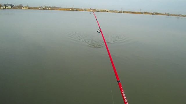 Озера Адыгеи. Новое зарыбление. Попали на жор щуки смотреть онлайн