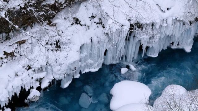 Fujifilm X20 смотреть онлайн