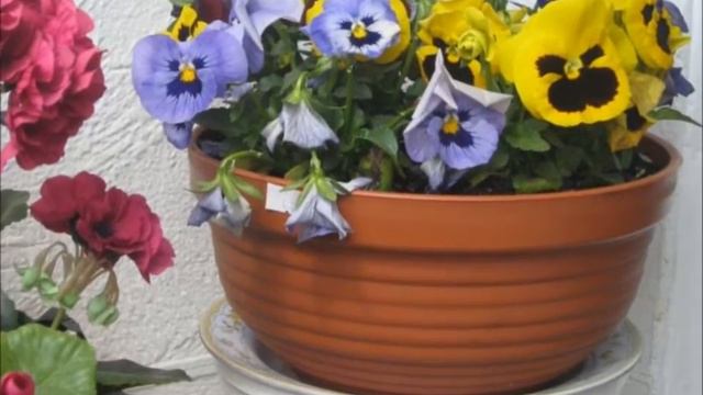 WIOSNA NA BALKONIE-2011.04. смотреть онлайн