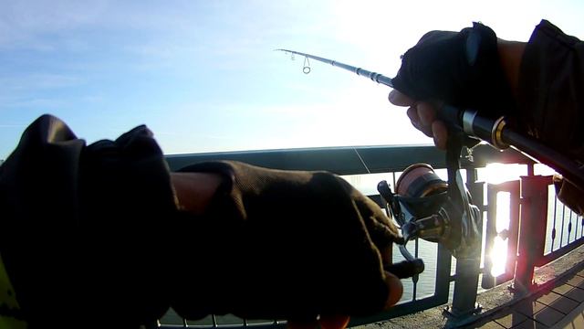 ARION 4 18г Полный тест драйв ,щука,судак, окунь ,беж смотреть онлайн