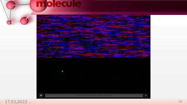 10-кл-108. Закон Гука. Модуль Юнга. смотреть онлайн