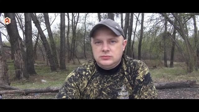 Про клеща: укус клеща, энцефалит, боррелиоз, прививки, защита от укуса смотреть онлайн