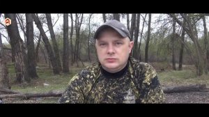 Про клеща: укус клеща, энцефалит, боррелиоз, прививки, защита от укуса