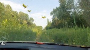 Отдых в Астрахани. Село Удачное. Рыбалка на берегу Ахтубы. Отпуск на природе вдали от людей и суеты