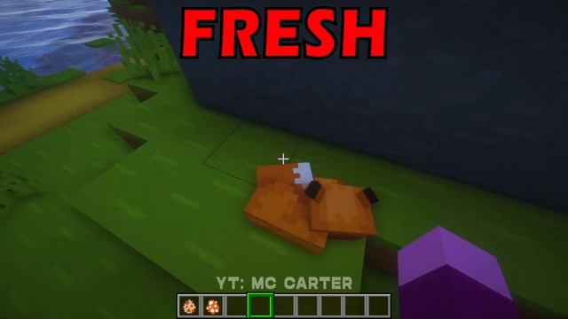 Java Vs Fresh Animations In Minecraft смотреть онлайн